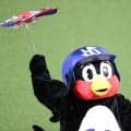 【ヤクルト】つば九郎が横浜スタジアムでファンの挑戦を“妨害”！？　イニング間イベントに登場