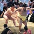 十両・炎鵬が３勝目　黒星先行も「一日一日なので気持ちで負けないように」
