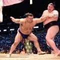 高安、正代との29回目の対戦制す　１敗守り後半戦は体調維持が鍵「今のところ体はもっている」