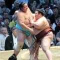 カド番の大関・琴桜、３連敗で黒星先行４敗目　九重審判長「集中しきれていない。自分から迷路に入っている」