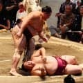 朝乃山が御嶽海との「大関経験者対決」を制す「投げられそうになった。危なかったです」
