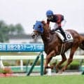 【函館4R】良血ホウオウザロイヤルが初勝利…母は秋華賞馬ブラックエンブレム