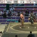 「え、雰囲気変わった」背筋力265キロのイケメン新人力士、“イメチェン姿”にファン困惑 “賛否”分かれるほどの注目度