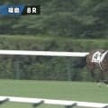 「めっちゃ見てる」観客を“ガン見”でフライング激走…福島で放馬のアクシデントも無事確保「良かった」「しょぼんとしてる」