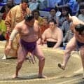 【大相撲】尊富士「もちろん見た」大ファン前夜の坂本勇人サヨナラ３ランに力もらった！６勝トップに並んだ！