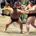 高安、苦手・正代に５年ぶりの白星「分が悪い相手だったので気を引き締めた」　１敗守ってトップに並ぶ