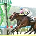 【小倉９Ｒ・ひまわり賞】カエリールークス姉妹連覇で世代最初のオープン勝ち　松山弘平騎手「能力で勝ち切ってくれた」