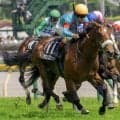 名牝の産駒が激突！ アロンズロッド×クラヴァンズ×バードウォッチャーに要注目
