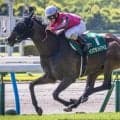 小倉記念は新興勢力に要注意 牝馬の活躍にも注目だ