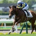 【函館2歳S予想】2歳最初のJRA重賞 傾向つかみにくい芝1200m舞台