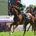 【小倉記念予想】サマー2000第3戦 長く良い脚が問われるハンデ重賞