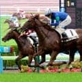 【函館１Ｒ・２歳未勝利】単勝１・７倍のステラトップガンが外から末脚伸ばす　鮫島克駿騎手「しっかり伸びてくれた」