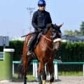 【注目馬動向】青葉賞２着のタイダルロックは８月３０日の日本海Ｓで復帰へ　左前脚第一指骨の骨折で日本ダービー断念