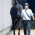 【注目馬動向】クロワデュノールの全弟チャリングクロスは８月３０日の新潟・３勝クラスの日本海Ｓへ