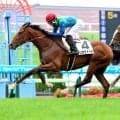 【函館５Ｒ・２歳新馬】急きょ代役の丹内祐次騎手がテンカタイヘイでＶ　初の函館リーディングをほぼ手中に