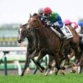 【函館5R新馬戦結果】8番人気テンカタイヘイが差し切り勝ち トーセンレーヴ産駒