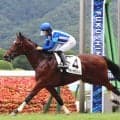 【福島５Ｒ・２歳新馬】グランオギュールが単勝１・７倍に応えて逃げ切りＶ　荻野極騎手「子供っぽさを見せていました」