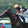 【小倉5R新馬戦結果】エピファネイア産駒ユーダブルワンが逃げ切り勝ち