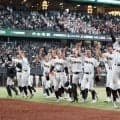 【高校野球】札幌日大３年連続の決勝進出、２桁背番号の小森桜暉が３安打１打点／南北海道
