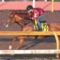 日曜小倉競馬場の注目激走馬…小倉１１Ｒ小倉記念・Ｇ３