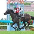【かもめ島特別】秋華賞有力候補に名乗り！モンローウォーク３戦連続の楽勝　横山和生騎手「雨馬場だけが不安でした」