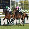 【小倉記念・馬体重】ジョバンニは474kg(+4)、ガイアメンテは492kg(±0)