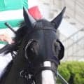 【函館２歳Ｓ】祖母シーザリオの良血馬イモージェンは２着　父サリオスのＪＲＡ重賞初タイトルは持ち越し