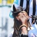 【函館２歳Ｓ】武豊騎手騎乗の１番人気シグレは５着　アグネスワールド以来、２９年ぶり勝利ならず