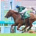 【函館２歳Ｓ】９番人気のフェリチタが世代重賞一番星　１８日まで函館１１勝と絶好調の横山和生騎手が導いた