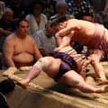 炎鵬が逆転のすくい投げで大歓声を浴びる　４勝４敗から後半のカギは「辛抱ですね」