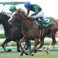【JRA・WIN5】3場ともメインレース波乱で的中2票！ 配当2億4772万8840円！