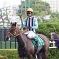 【函館２歳Ｓ】武豊騎手も無念「外から並ばれたら反応して…」　馬場にも泣いた１番人気シグレは５着