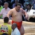 嵐富士が勇み足で初黒星　新十両ストレート給金逃すも「内容は悪くない」連勝７で止まる