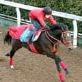 【小倉記念】競走中止のエヒトにファン沈痛「嫌な止まり方して…」「どうか無事で」最終コーナーでアクシデント発生