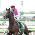 【函館２歳Ｓ】まさかの１２着惨敗に北村友一騎手「コーナーでは倒れ込むような…」　３番人気のロンドンガーズ