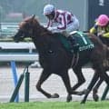 【小倉記念結果】格上挑戦の10番人気ゼンダンハヤブサがV ジョバンニは2着