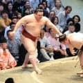 安青錦が１敗で首位を堅持　激しい相撲で、土俵下に落ちた際には、左足を気にする様子も　大関復帰にあと３勝