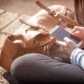 【スポーツメンタル】エゴサしても意味はない…知っているけどエゴサしてしまう心理