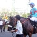 【福島１０Ｒ・猪苗代特別】超良血アロンズロッドは猛追も頭差及ばず２着　初コンビの戸崎騎手「力はあります」