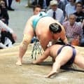 カド番の琴桜が４勝目　星を五分に　平戸海に勝つ