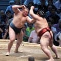 安青錦が優勝争いトップに並ぶ７勝目「自分らしさが出た」「体は動いている」