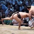 ２横綱２大関が今場所初めてそろって白星　綱とり霧島１敗守り優勝争いは４人が並ぶ