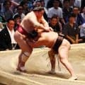 豊昇龍が通算400勝「そうなの？知らなかった」230敗には「そんなに負けてるんだ」苦笑い