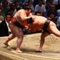 ハイレベルな優勝が必要な霧島の綱とりに「内容はいいし、落ち着いている」尾上審判長