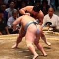 伯乃富士、左足テーピングも「出る以上は大丈夫。勝負なんで」変化で琴勝峰を突き落とし６勝目
