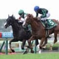 【函館2歳S】伏兵フェリチタが波乱を演出…武豊騎乗のシグレは直線で失速