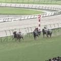 「最強に可愛い」“しっぽの色”に注目…新馬戦快勝の牝馬、希少かつ美しい“ルックス”も話題に「めっちゃ綺麗」「人気出そう」
