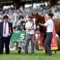 【函館2歳S】横山和「フェリチタの頑張る気持ちに助けられた」…2歳世代最初の重賞ウィナーはフェリチタ
