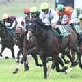 関屋記念と東海Sの2重賞 25日にはキングジョージ/今週の競馬界の見どころ