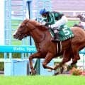 【函館２歳Ｓ】９番人気フェリチタが世代初の重賞ウィナー　初コンビ横山和生騎手「頑張る力は素晴らしい」